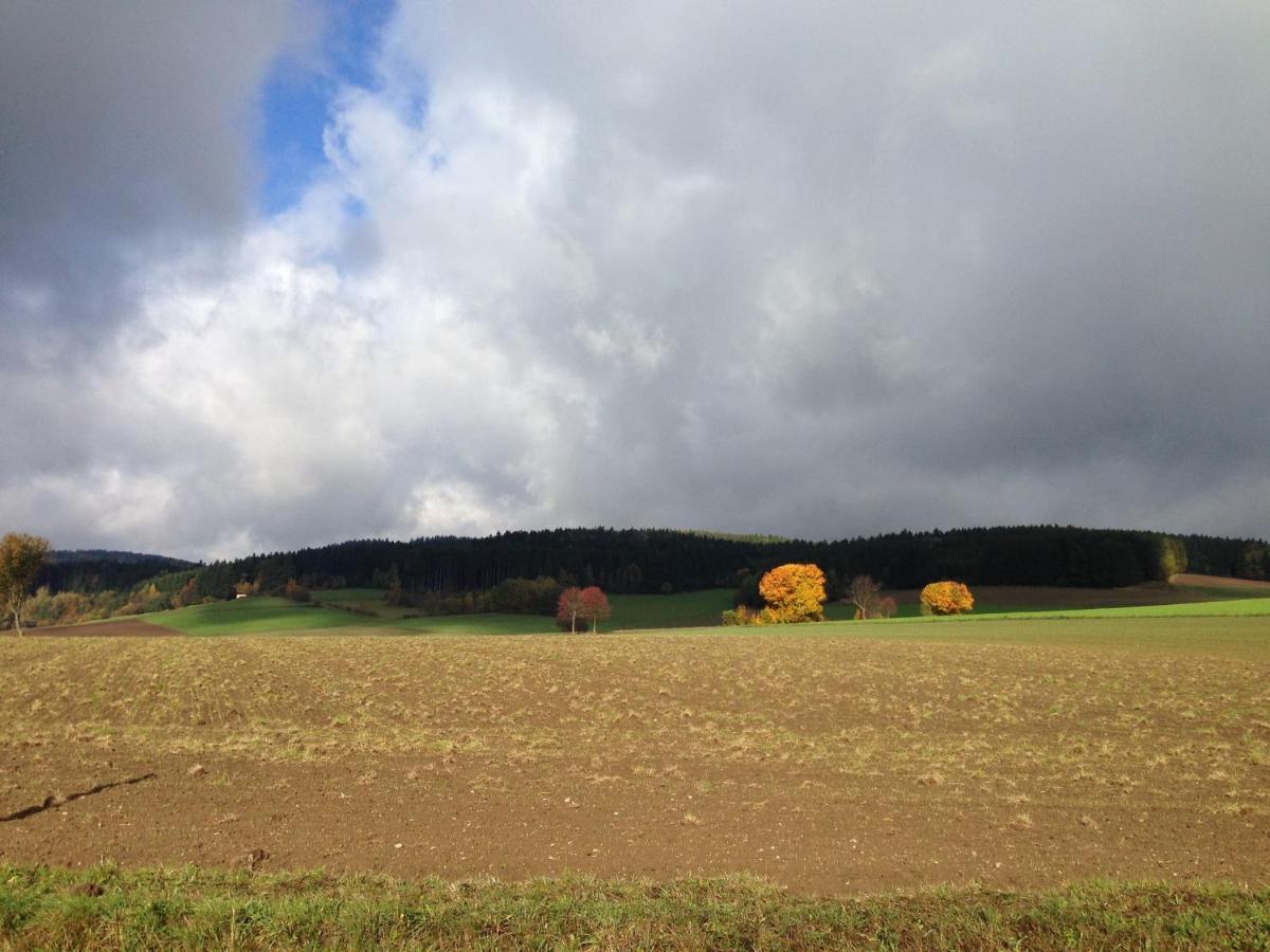 Cozy Pet Friendly Holiday Home In T Nnesberg Tännesberg Eksteriør bilde